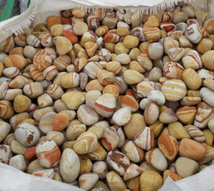 can tasi tamburlu 5x10 cm