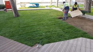 peyzaj duzenlemesi 1