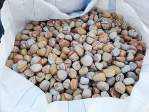 rainbow tamburlu can tasi