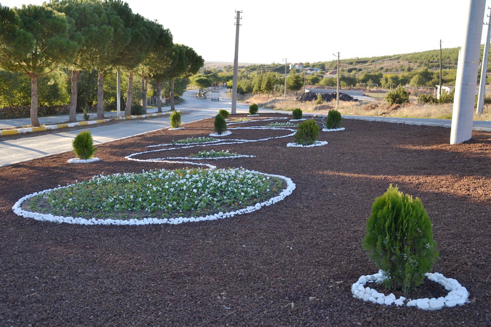 487808579 2158128517952050 1441870161231053177 n