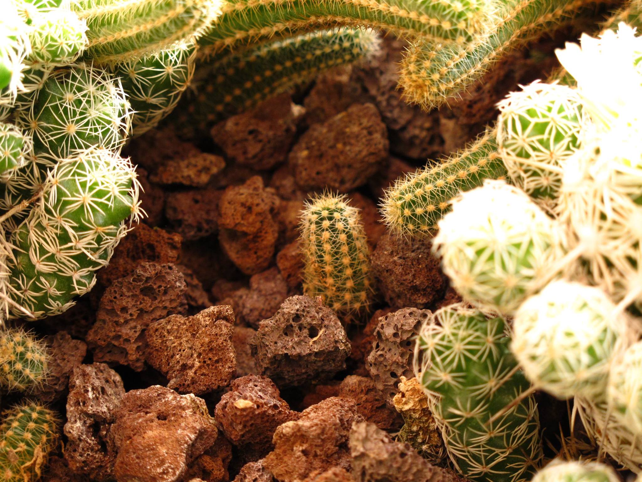 508403039 9898490723603272 4747719484773422999 n